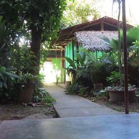 Tambopata Hostel Bambu Пуэрто-Мальдонадо Экстерьер фото