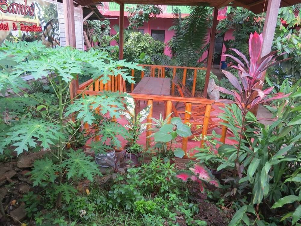 Tambopata Hostel Bambu Пуэрто-Мальдонадо Экстерьер фото