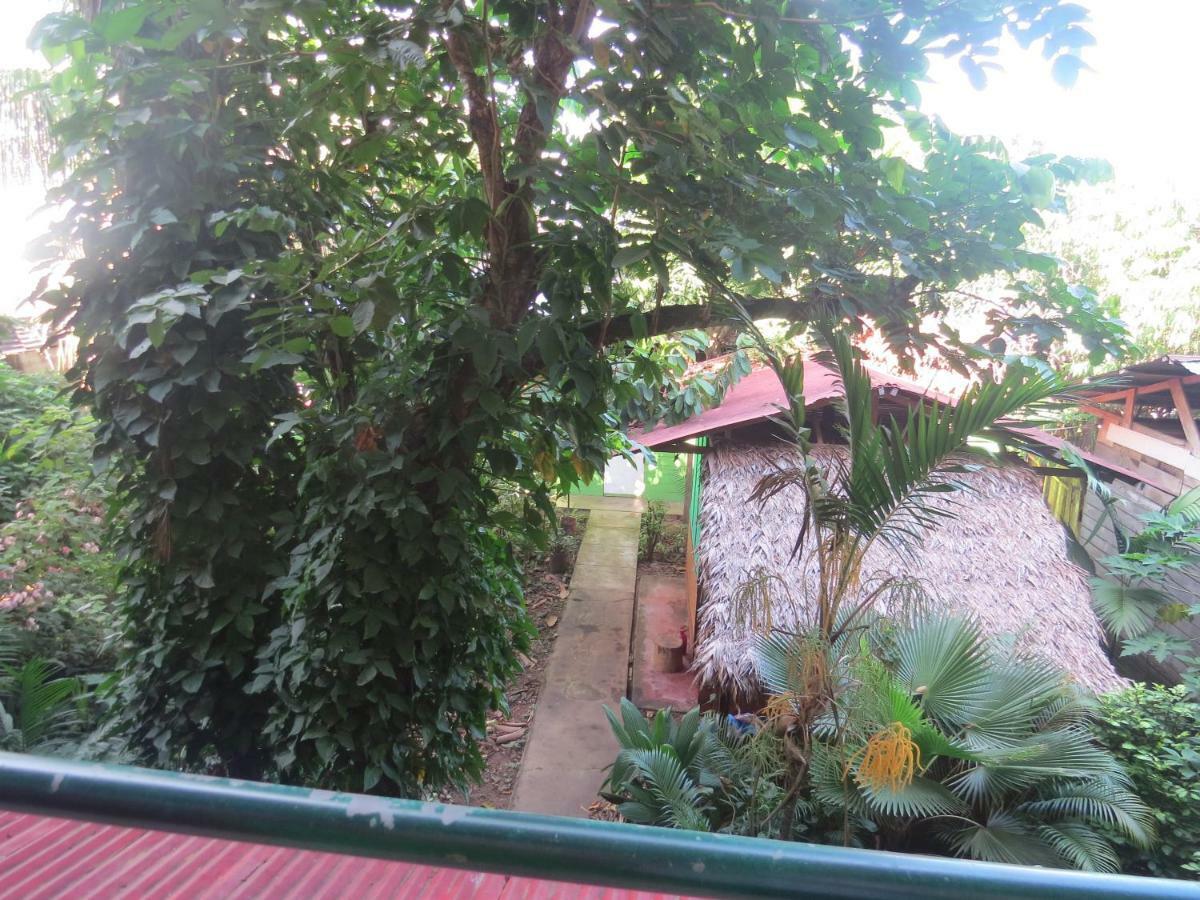 Tambopata Hostel Bambu Пуэрто-Мальдонадо Экстерьер фото