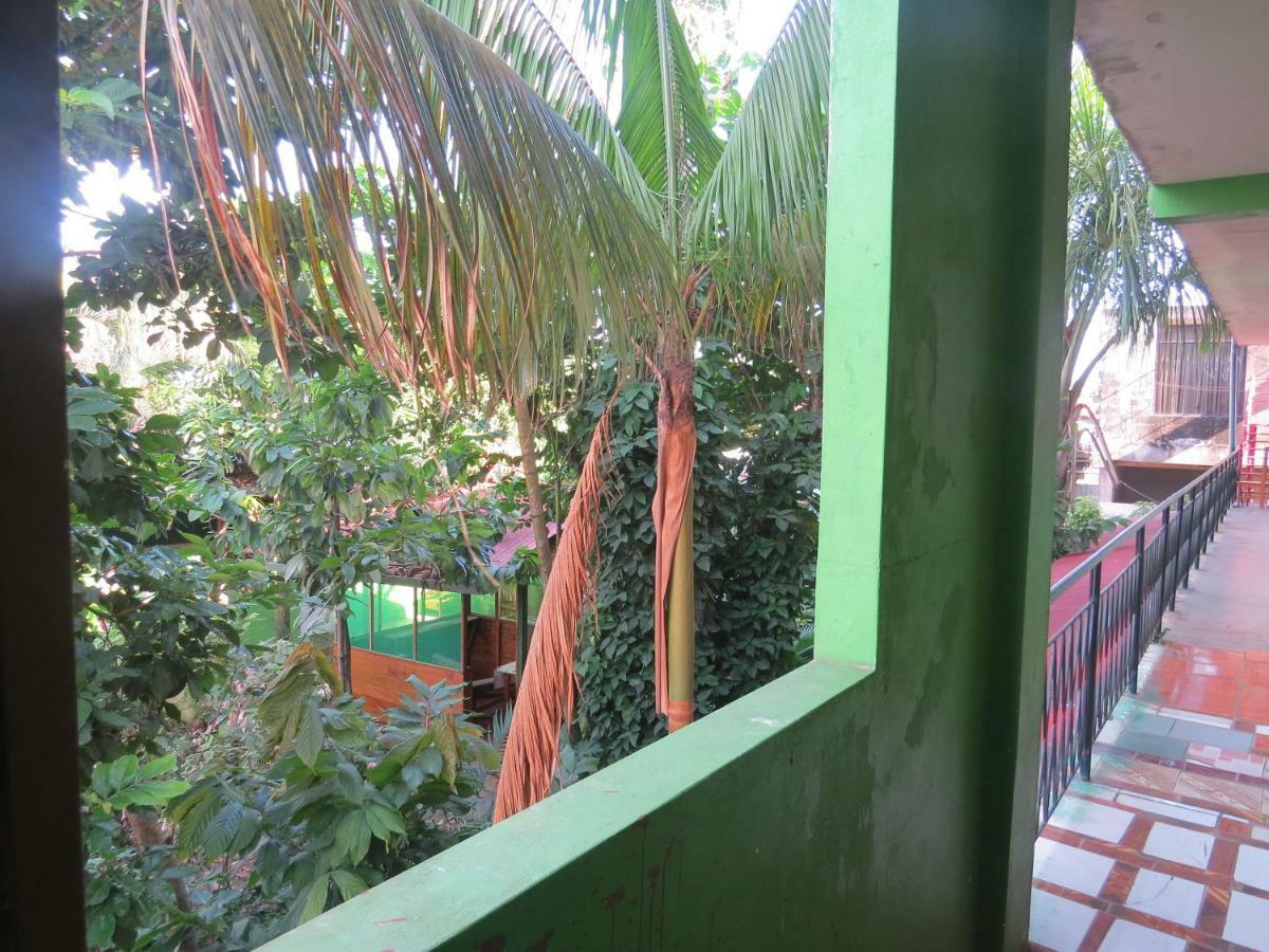 Tambopata Hostel Bambu Пуэрто-Мальдонадо Экстерьер фото